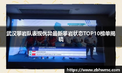 武汉攀岩队表现优异最新攀岩状态TOP10榜单揭晓